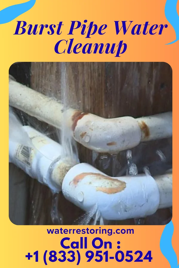 Burst Pipe Water Cleanup in Johnson City, OR