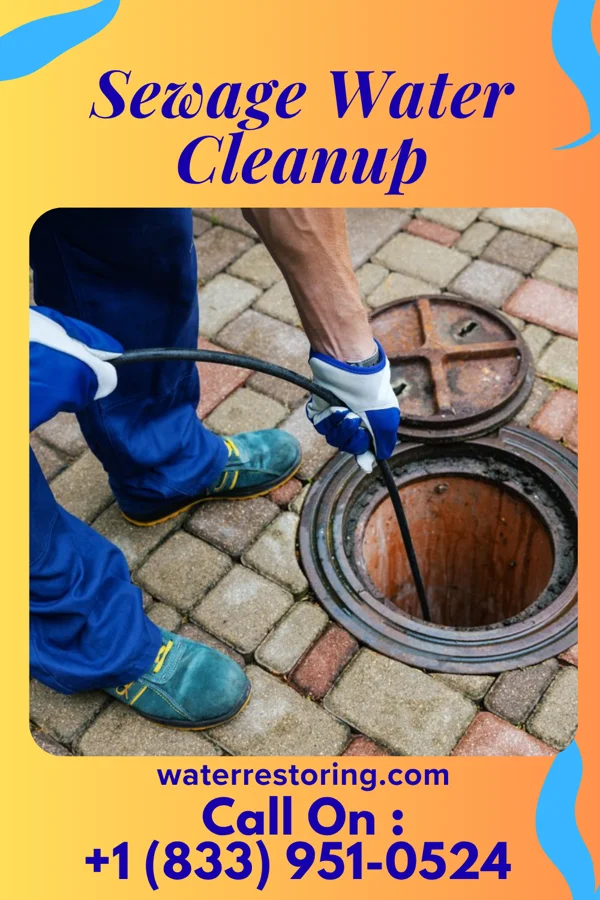 Sewage Water Cleanup in Johnson City, OR